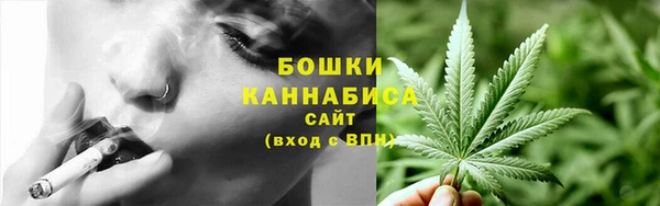прущие грибы Аркадак