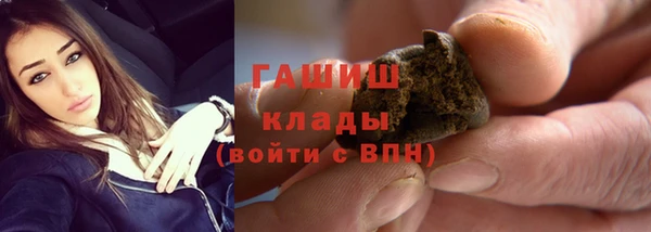 прущие грибы Аркадак