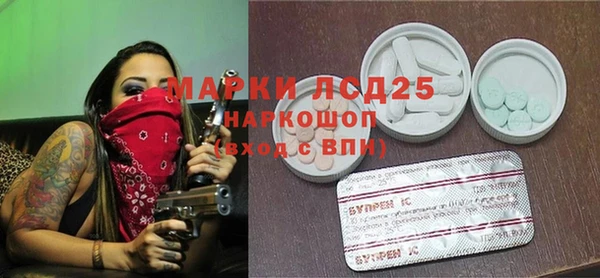 прущие грибы Аркадак