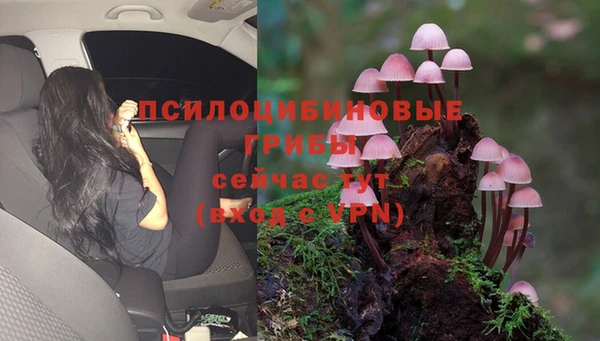 скорость Арсеньев