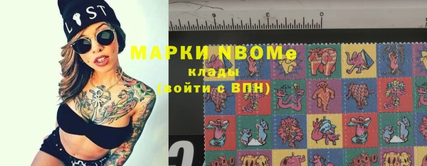 прущие грибы Аркадак