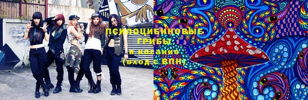 экстази Осташков