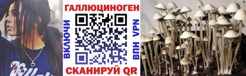 Галлюциногенные грибы мицелий  Фролово 