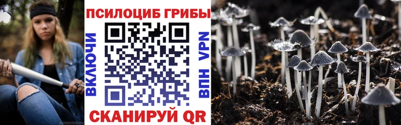 Галлюциногенные грибы Cubensis Фролово